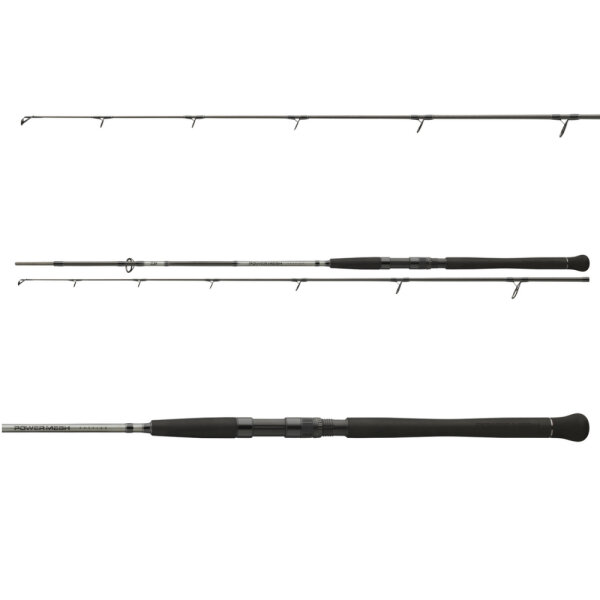 Daiwa Powermesh Catfish Rute