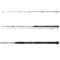 Daiwa Powermesh Catfish Rute