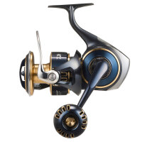 Daiwa 25 Saltiga Meeres-Spinnrolle