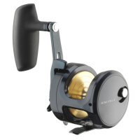 Daiwa 24 Saltiga 35L Multirolle Linkshand