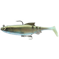 Daiwa Prorex Lazy Roach RD 16cm Green Bleak