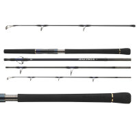 Daiwa Saltiga Air Portable Rute 8,0ft 2,40m 40-110g 4-teilig