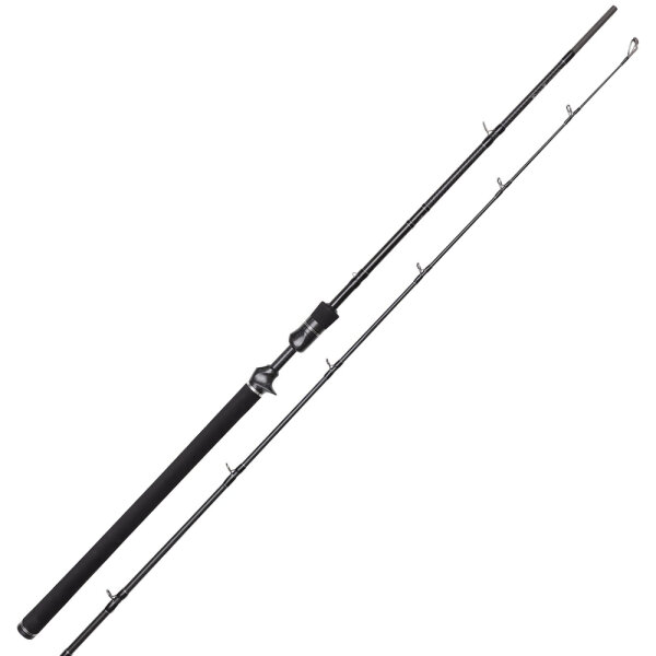 Westin W3 Jerkbait-T 3RD Baitcastrute H 1,98m 20-80g