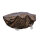 Fox Camolite Large Barrow Cover