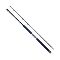VF Norwegen Angelset Rute + Penn Multirolle mit...