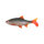 Fox Rage Ultra Realistic Replicant Roach 14cm