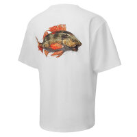 BKK Short Sleeve Casual Shirt Perch T-Shirt White