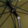 Avid Carp NG Bivvy 2 man
