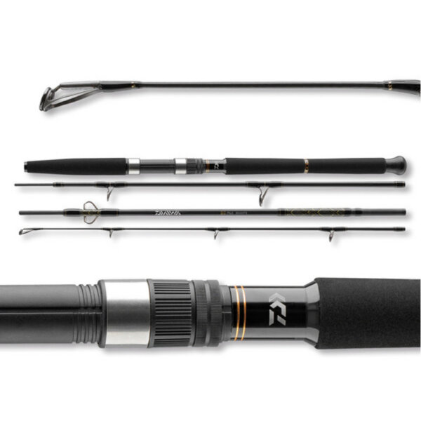 Daiwa BG Offshore Rute Travel Pilk 2,70m 50-200g 4-teilig