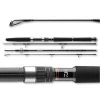 Daiwa BG Offshore Rute Travel Pilk 2,70m 50-200g 4-teilig