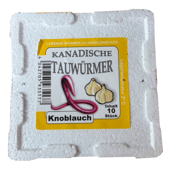 Tauwürmer in 10er Styrodose Knoblauch