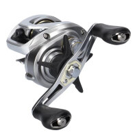 Daiwa 25 AIRD 80HL Baitcastrolle Linkshand