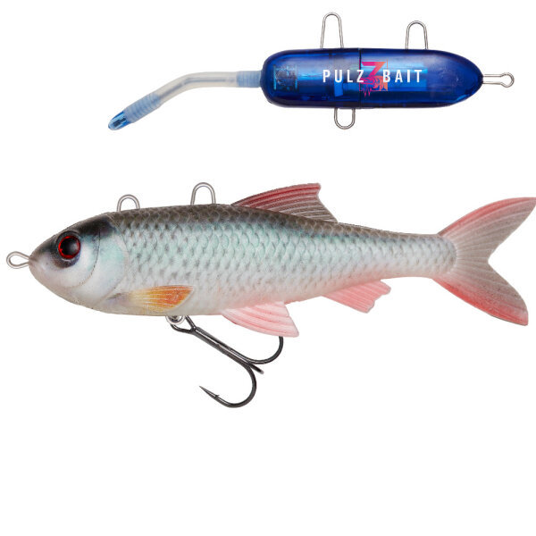 Pulzbait Roach Kit 15cm Natural Roach