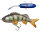 Pulzbait Roach Kit 15cm Natural Perch