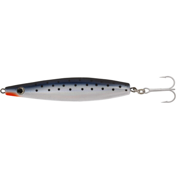 Dotted Sardine