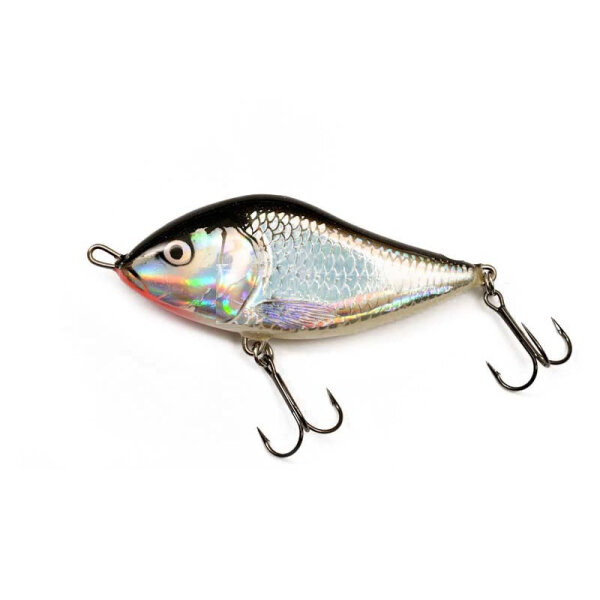 Holographic Grey Shiner