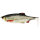 Westin Ricky the Roach Shadtail 10cm 2er Set Gummifisch