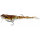 Westin Freddy the Frog Wakebait 9cm/18,5cm 46g Floating