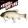 Quantum Freak of Nature Swimbait Tench 23cm