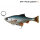 Savage Gear 4D Line Thru Pulse Tail Roach 18cm 90g