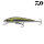 Daiwa Tournament Baby Minnow 60SP