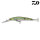 Daiwa Tournament Double Clutch 75SP-G