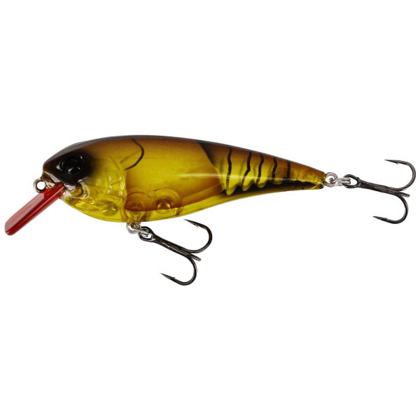 Clear Brown Craw