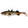 Westin Stanley The Stickleback Shadtail Gummifisch 5,5cm