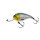 Westin MegaBite Crankbait Wobbler