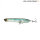 Ghost Minnow
