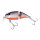 Zeck Cat Pointer 8cm S 1m