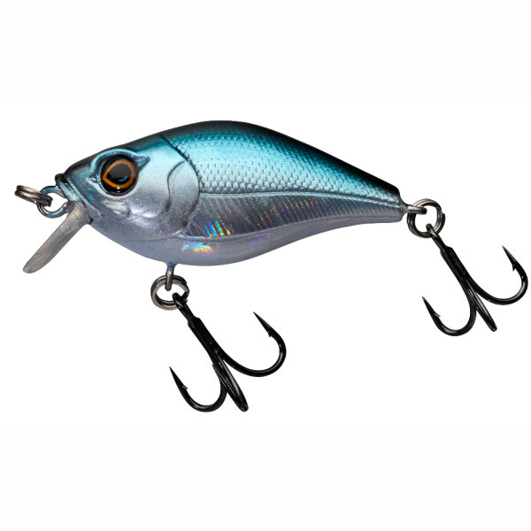 Blue Shad