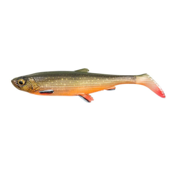 Arctic char