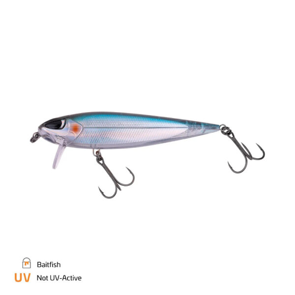 Baitfish