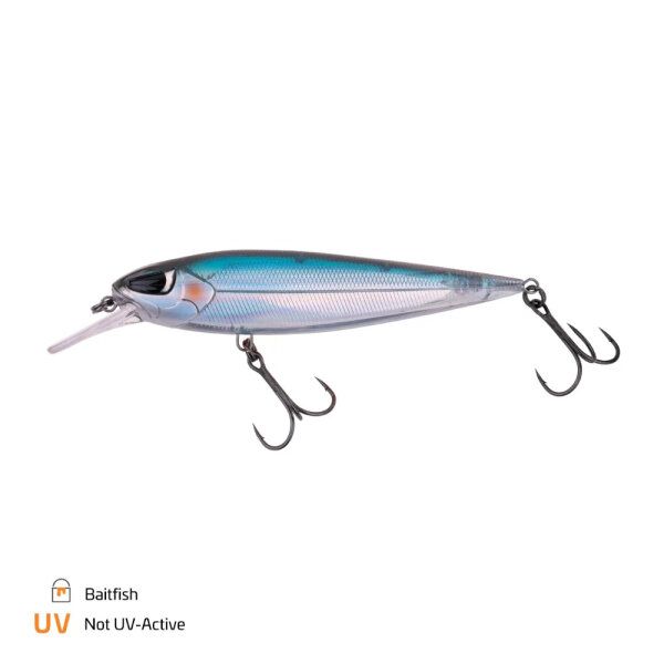 Baitfish