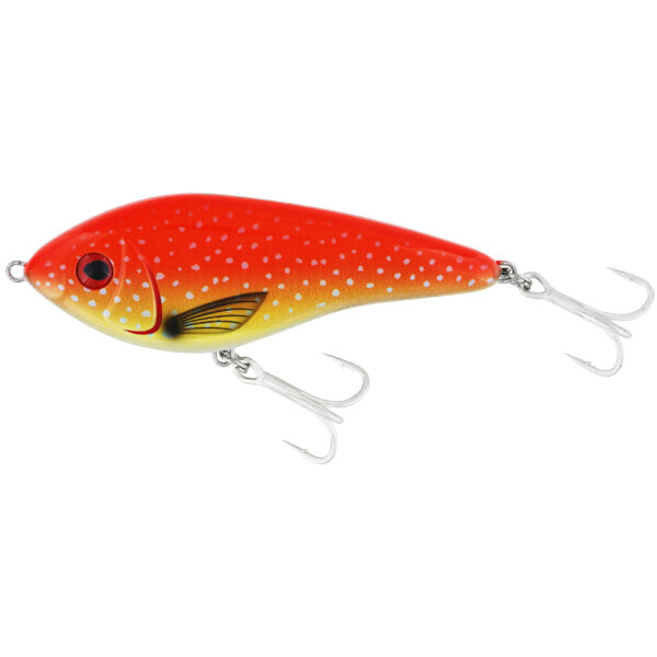 Coral Trout