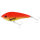 Coral Trout
