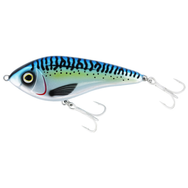 Atlantic Mackerel