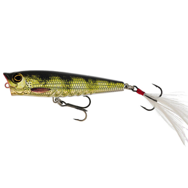 Real Perch