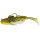 Headlight Goby