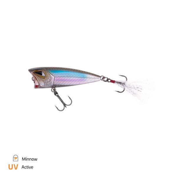 Minnow