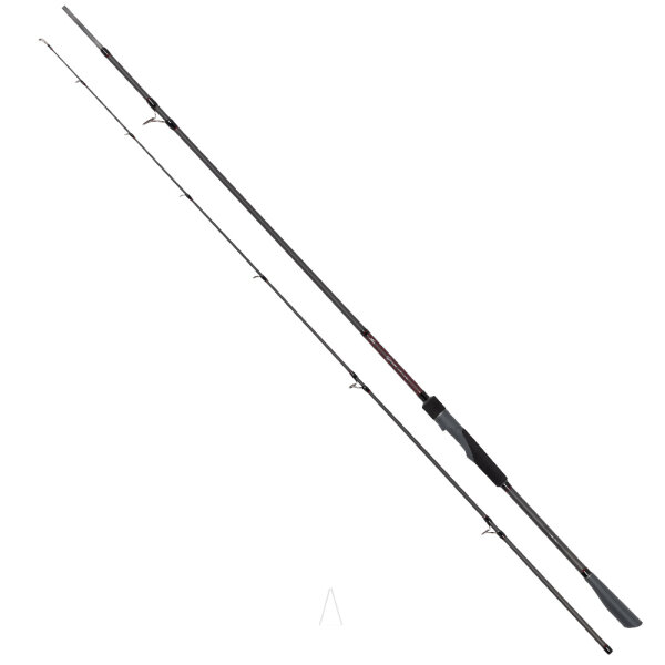 Heavy Spin 40-80g/ 2,70m