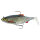 Westin Ricky The Roach Shadtail R2F 18cm Limitiert für klares Wasser