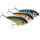 Westin Swim Glidebait 12cm 58g Sinking TC Limited Edition