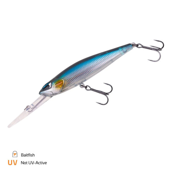 Baitfish