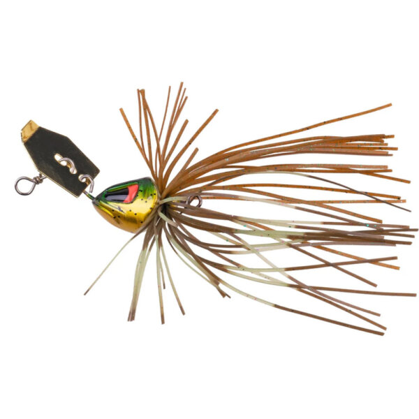 Moor Kiwi