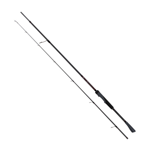 Shad & Spin 20-60g/ 2,10m