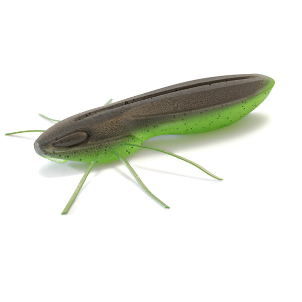C-05