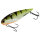 SpinMad Cicada Hart 9g Zikade