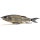 Kopie von Nays TRN 190 Swimbait #1